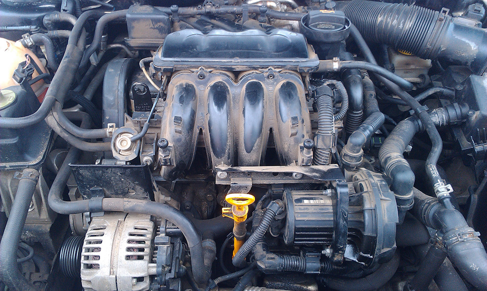 Масло в двигатель 1.6 MPI BFQ Skoda Octavia Tour: объем, марки, допуски, вязкость