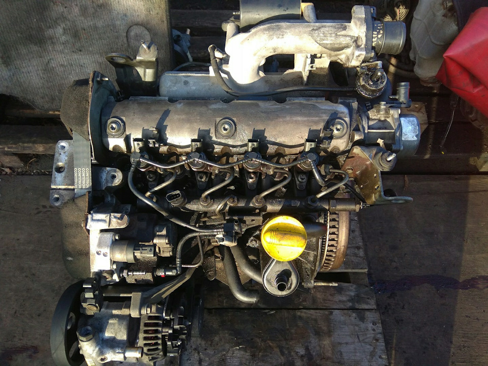 Масло в двигатель Renault 1.9 L DCI F9Q (dCi): объем, марки и заливка