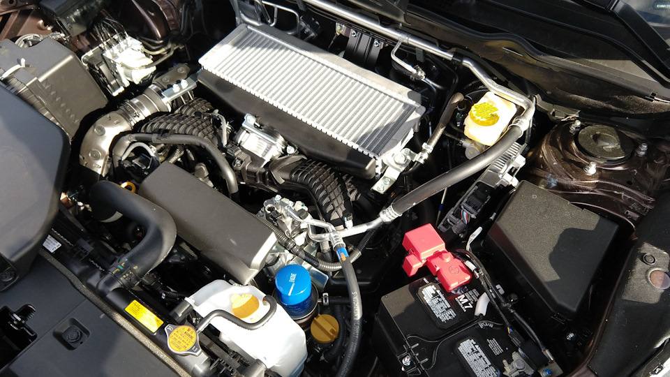 Масло в двигатель Subaru FA24F: рекомендации и советы