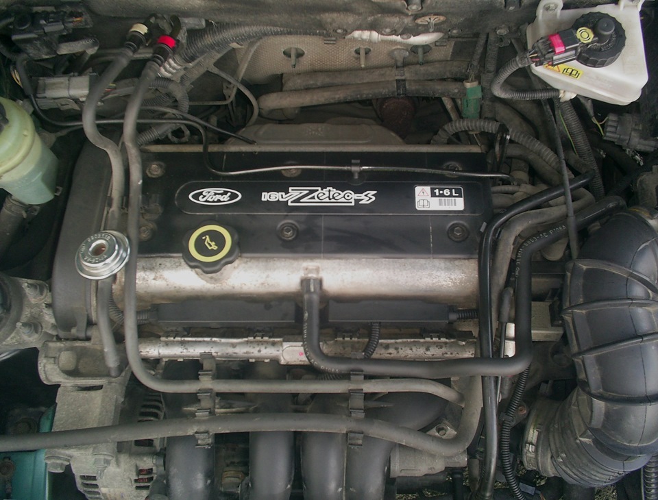 Какое масло использовать для двигателя Ford Zetec S/SE 1.6 L FYDA?