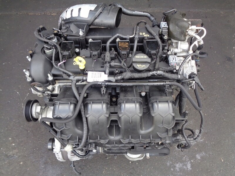 Масло в двигатель Ford EcoBoost 2.0 L R9DA: рекомендации и спецификации